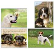 Kleinkärtchenserie Hunde, 12 Stück Kleinkärtchenserie Hunde, 12 Stück