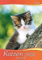 Katzen 2020 - 2 in 1-Wandkalender Katzen 2020 - 2 in 1-Wandkalender
