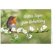 Faltkarte: Gottes Segen zum Geburtstag Faltkarte: Gottes Segen zum Geburtstag