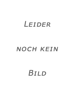 Haakon Lie - Der Löwe von Juda 1: Die Reise ins versprochene Land - Collector's Edition Der Löwe von Juda 1: Die Reise ins versprochene Land - Collector's Edition