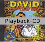 Playback-CD: David - ein echt cooler Held