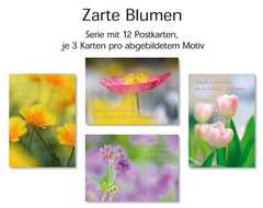 Postkartenserie Blumen, 12 Stück