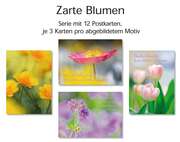 Postkartenserie Blumen, 12 Stück Postkartenserie Blumen, 12 Stück