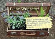 Liebe Wünsche! - Faltkarte Liebe Wünsche! - Faltkarte