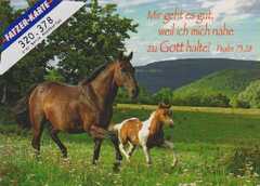 Postkarten Pferde - 6 Stück