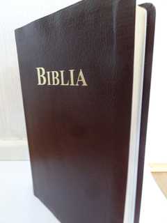 Bibel Rumänisch - schwarz